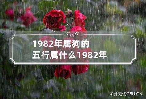 82属什么|1982年属什么 1982年属什么五行